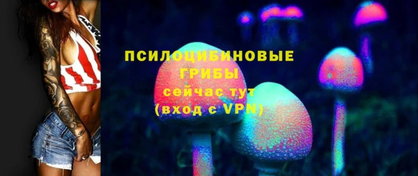 мдпв Новодвинск