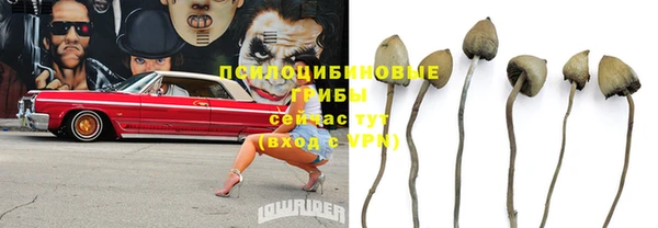 MESCALINE Новокубанск