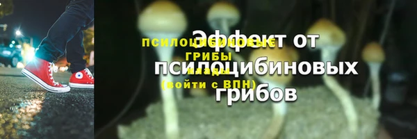 MESCALINE Новокубанск