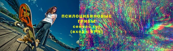 мдпв Новодвинск