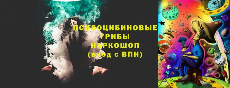 Галлюциногенные грибы Magic Shrooms  Белоярский 